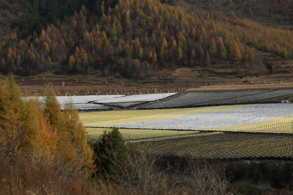 一面坡連體調(diào)光遮陽(yáng)篷.jpg
